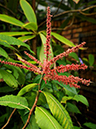 %_tempFileName01-20100313-0213%