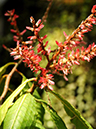%_tempFileName02-20110319-0233%