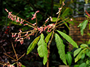 %_tempFileName03-20110409-0269%