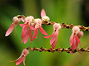 %_tempFileName04-20110409-0270%