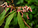 %_tempFileName05-20110409-0271%