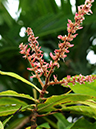 %_tempFileName06-20120304-0365%