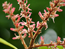%_tempFileName07-20120304-0366%