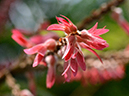 %_tempFileName09-20120325-0465%