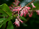 %_tempFileName10-20120331-0314%