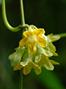 %_tempFileName01-20070923-0102%