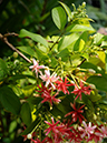 %_tempFileName06-20080907-0105%