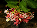 %_tempFileName07-20100923-0068%