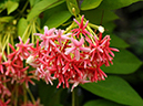 %_tempFileName08-20110626-0124%