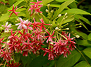 %_tempFileName09-20130630-0221%