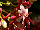 %_tempFileName10-20140601-0100%