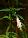 %_tempFileName02-20051127-0209%