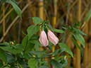 %_tempFileName04-20060108-0183%
