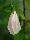 %_tempFileName06-20061123-0189%