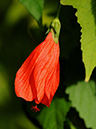 %_tempFileName08-20081214-0252%