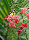 %_tempFileName01-20080622-0208%