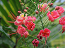 %_tempFileName02-20080622-0209%