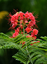 %_tempFileName03-20081124-0172%
