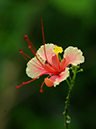 %_tempFileName04-20100704-0223%