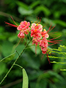 %_tempFileName05-20100704-0220%