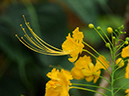 %_tempFileName08-20100627-0115%