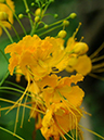 %_tempFileName09-20100627-0116%