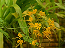%_tempFileName10-20131019-0058%