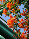 %_tempFileName03-20101226-0127%