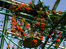 %_tempFileName04-20121223-0149%