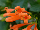%_tempFileName06-20130127-0097%