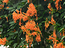 %_tempFileName10-20130113-0103%