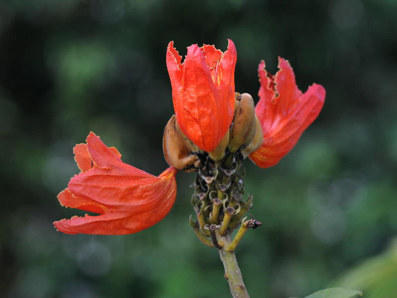 %_tempFileName08-20100214-0256%