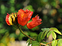 %_tempFileName01-20100117-0329%