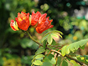 %_tempFileName02-20100117-0331%