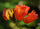 %_tempFileName03-20100117-0431%