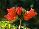 %_tempFileName04-20100124-0204%