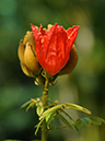 %_tempFileName05-20100130-0173%