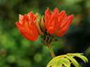 %_tempFileName06-20100130-0174%