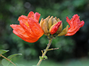 %_tempFileName07-20100214-0255%