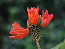%_tempFileName08-20100214-0256%