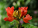 %_tempFileName10-20110122-0187%