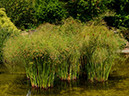%_tempFileName01-20120909-0109%
