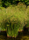 %_tempFileName02-20120909-0110%