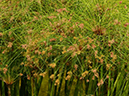 %_tempFileName03-20120909-0111%