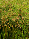 %_tempFileName04-20120909-0111%