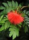 %_tempFileName09-20100313-0221%