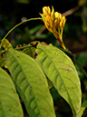 %_tempFileName02-20070113-0300%