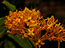 %_tempFileName04-20070120-0180%
