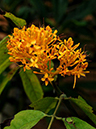 %_tempFileName05-20070120-0181%