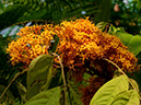 %_tempFileName10-20140316-0122%